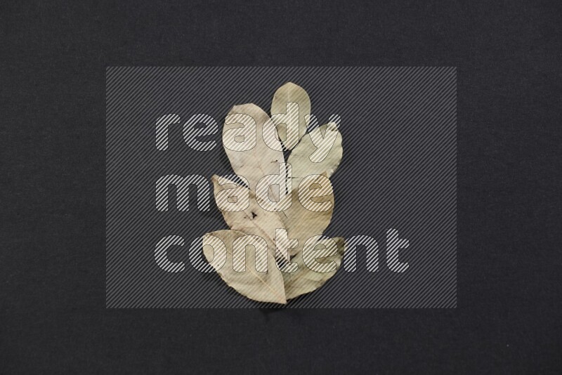 أوراق الغار المجففة علي خلفية سوداء