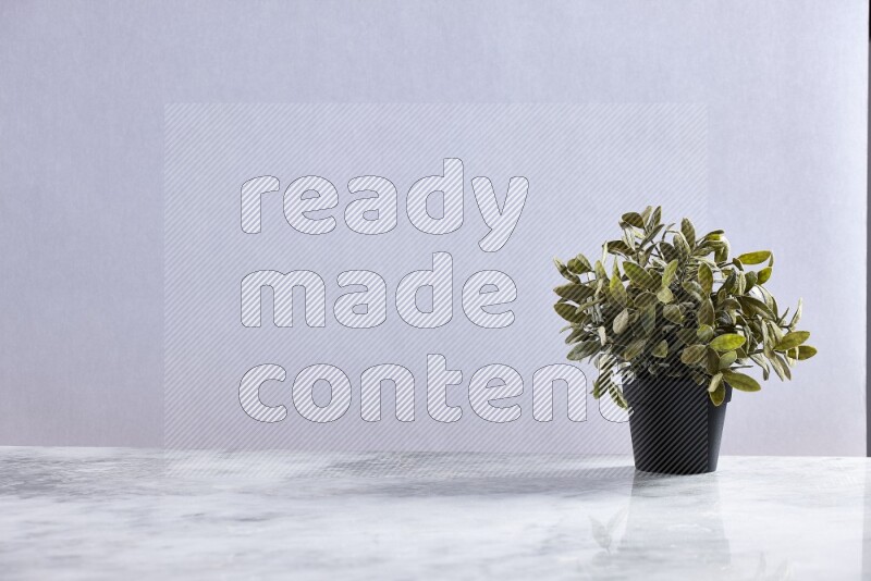 Green artificial plant in black pot on grey marble background