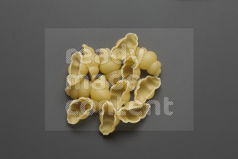 Snails pasta on grey background