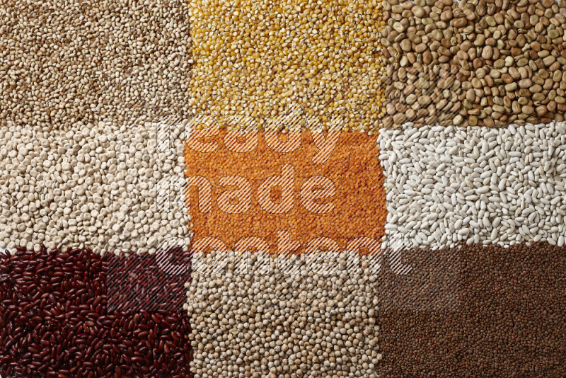 Different legumes on white background