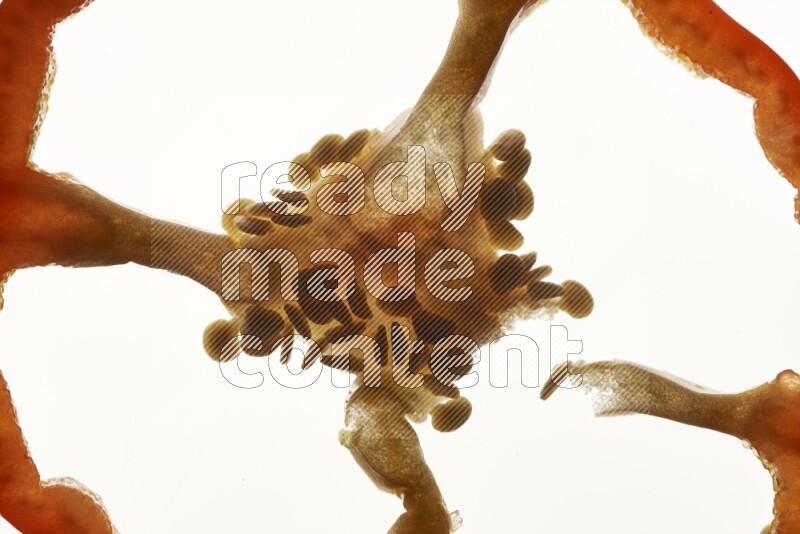 Red bell pepper slices on illuminated white background