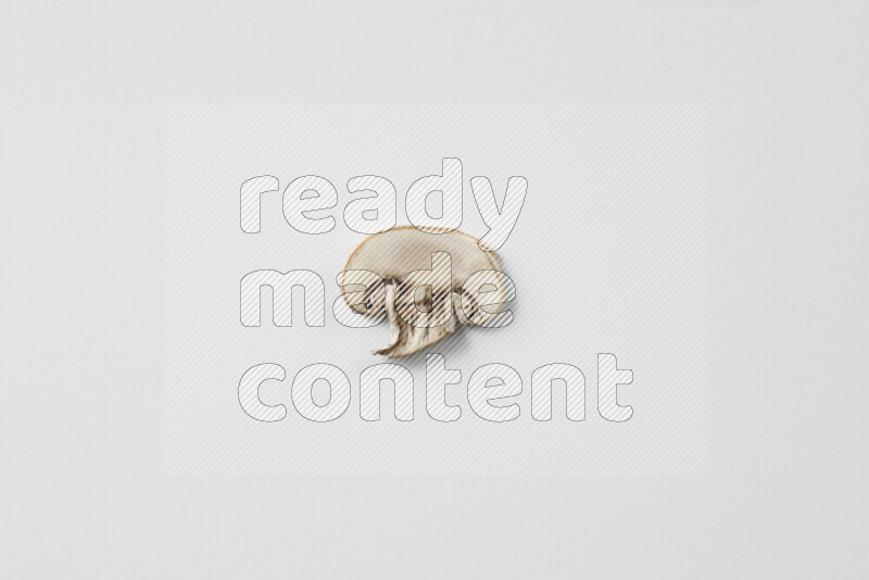 Mushrooms on white background