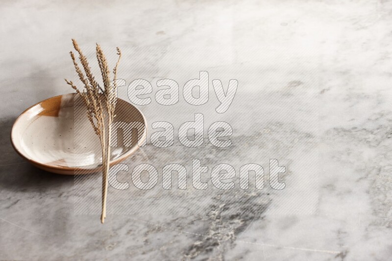 Wheat stalks on multicolored pottery plate on grey marble background
