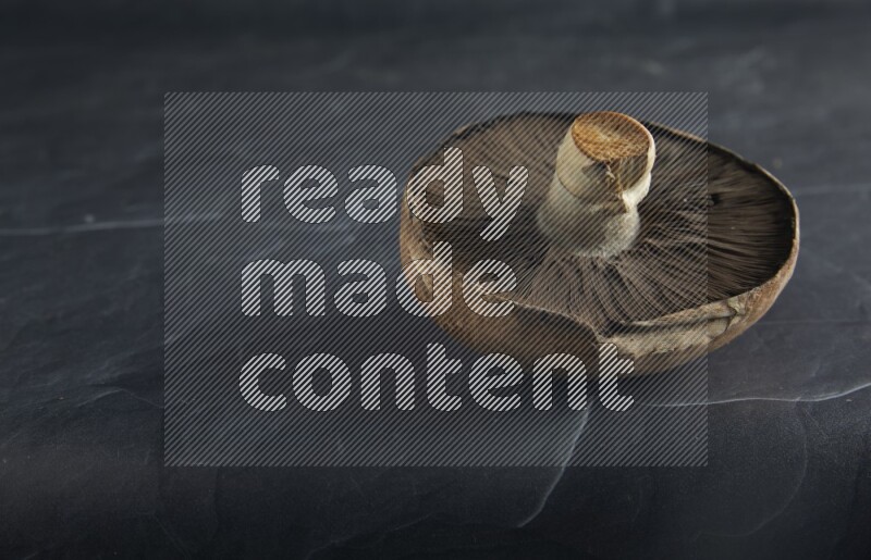 45 degre portobello mushrooms on a textured black slate background
