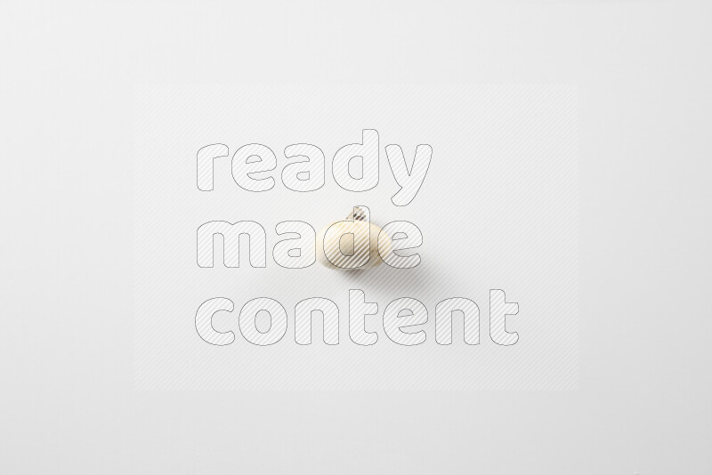 Mushrooms on white background