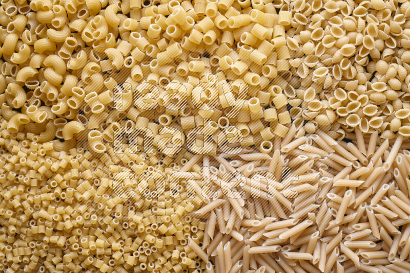 5 types of pasta filling the frame