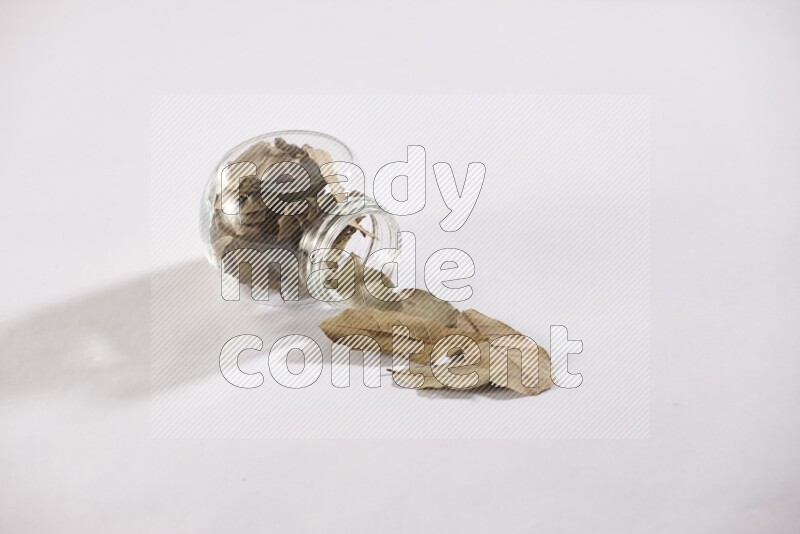 وعاء زجاجي ممتلئ بأوراق الغار والوعاء مقلوب وبعض الأوراق متناثرة خارجه علي خلفية بيضاء