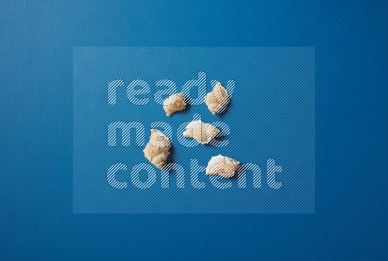 top view shot of seashells arrangement on blue background