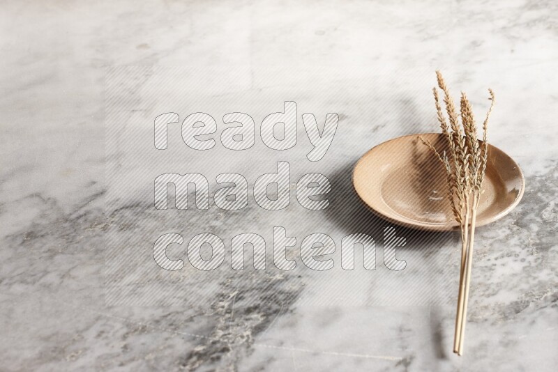 Wheat stalks on Beige Pottery Plate on grey marble flooring, 45 degree angel