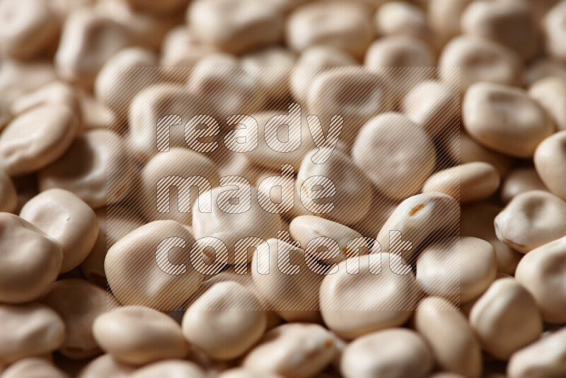 Lupin Beans on white background
