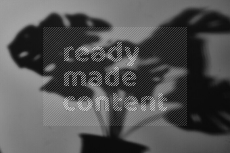 يظهر ضوء غوبو خافت ظلال أوراق نبات تسقط على سطح ناعم