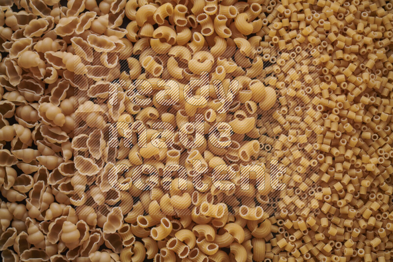 3 types of pasta filling the frame