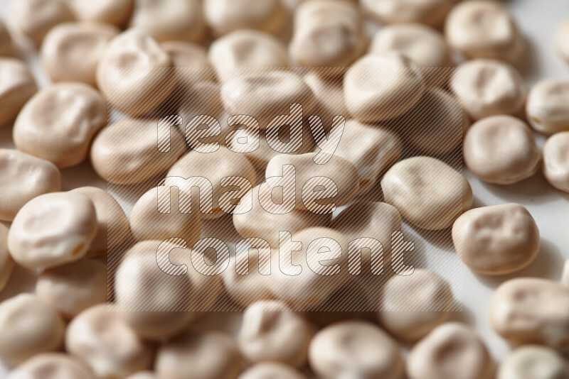 Lupin Beans on white background