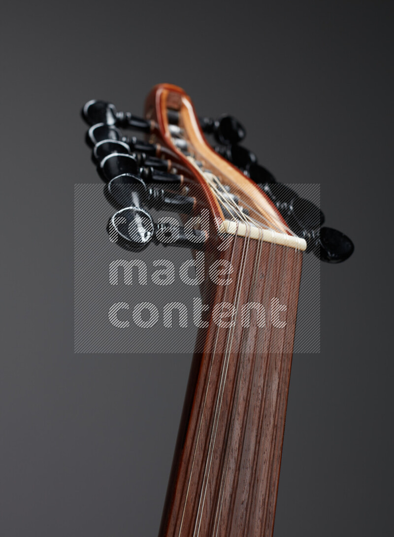 parts of a brown wooden Oud in a gray background