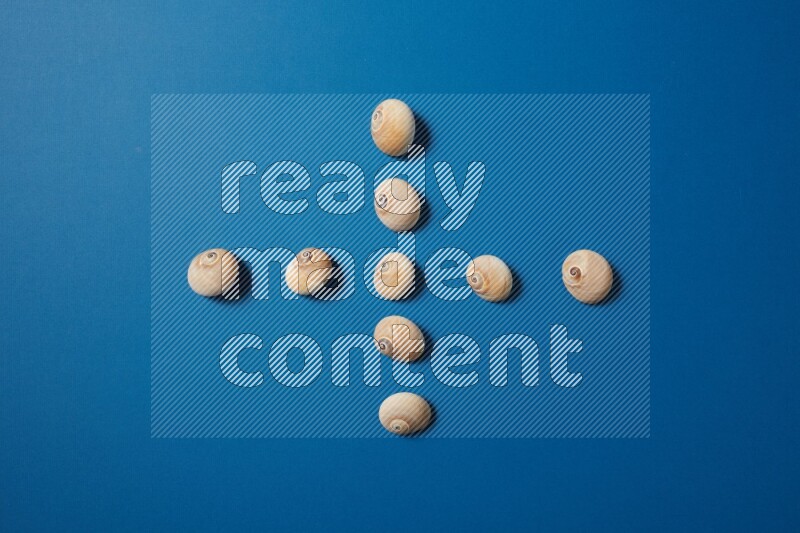 top view shot of seashells arrangement on blue background