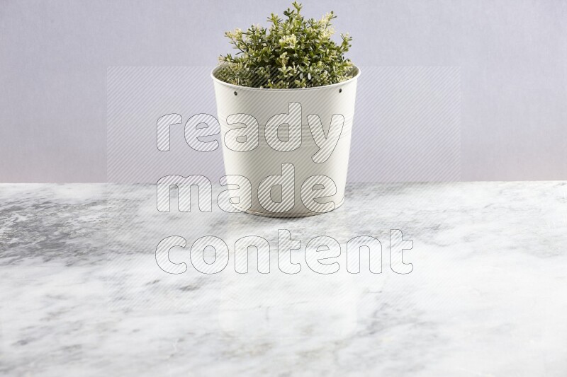 Artificial plant in white pot on grey marble background
