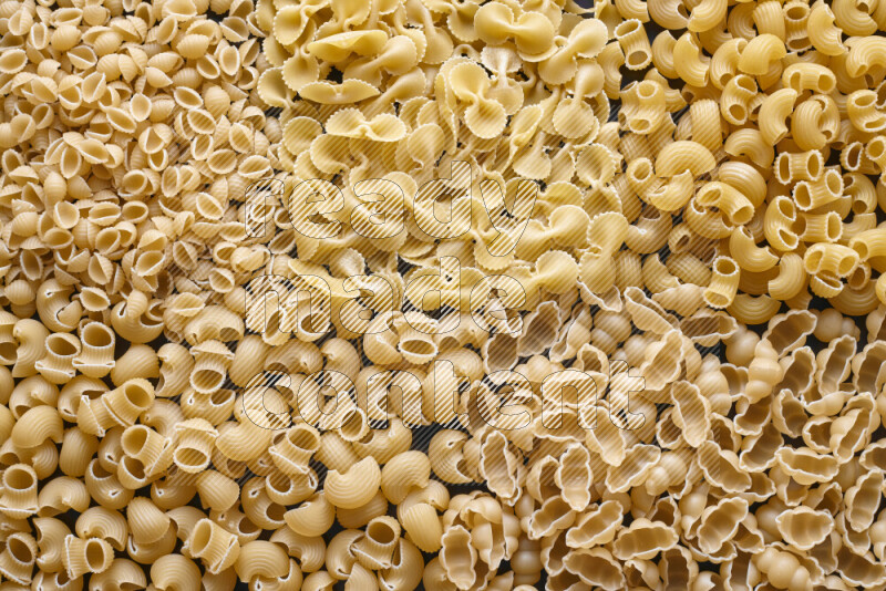 5 types of pasta filling the frame