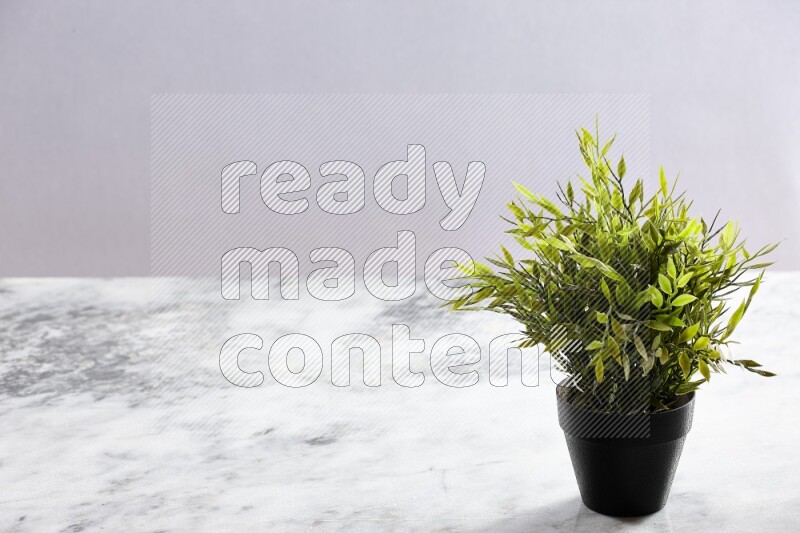 Green artificial plant in black pot on grey marble background