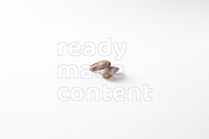 Dates on white background
