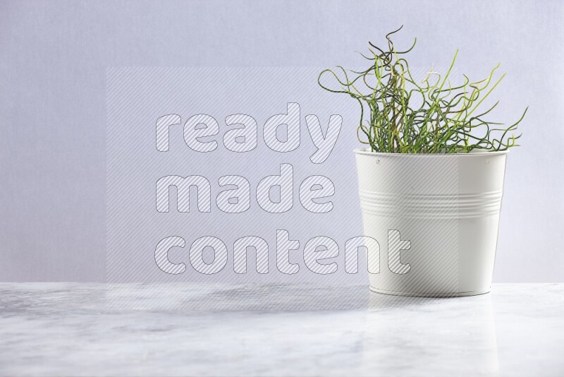 Green artificial plant in white pot on grey marble background