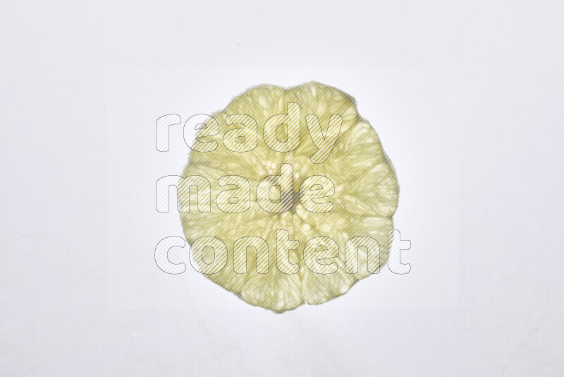Orange slices on illuminated white background
