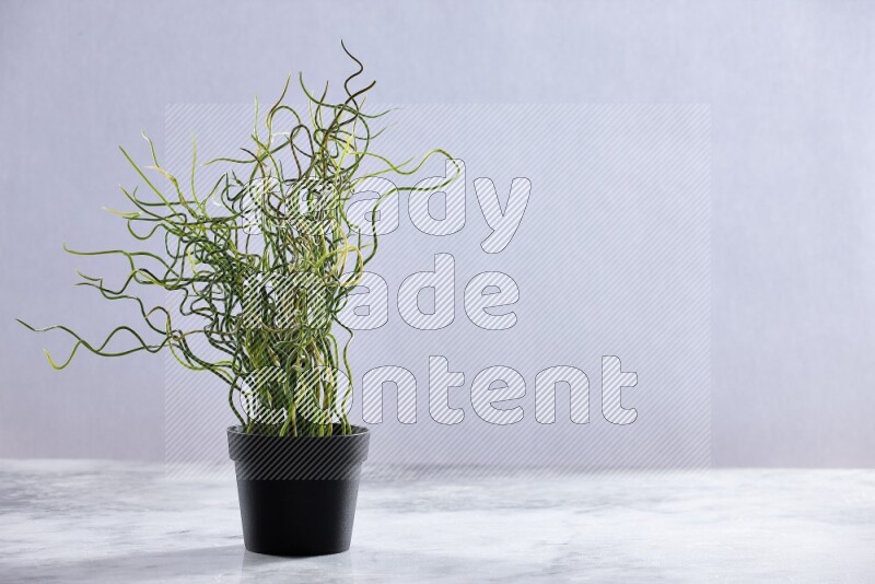 Green artificial plant in black pot on grey marble background