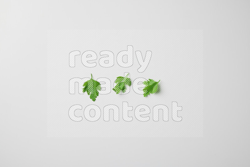 Scattered fresh parsley leaves on white background