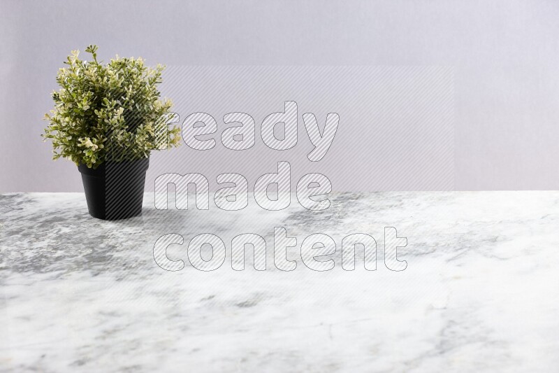 Artificial plant in black pot on grey marble background