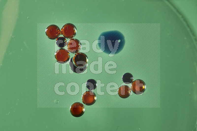 Close-ups of abstract red and blue watercolor drops on oil Surface on green background