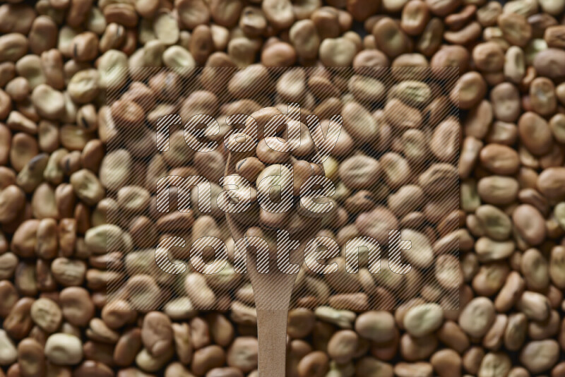 A wooden spoon full of fava beans on fava beans background