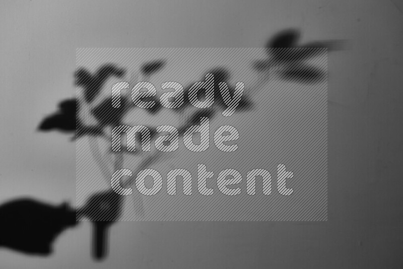 A delicate gobo light projects the silhouette of plant leaves onto a smooth surface