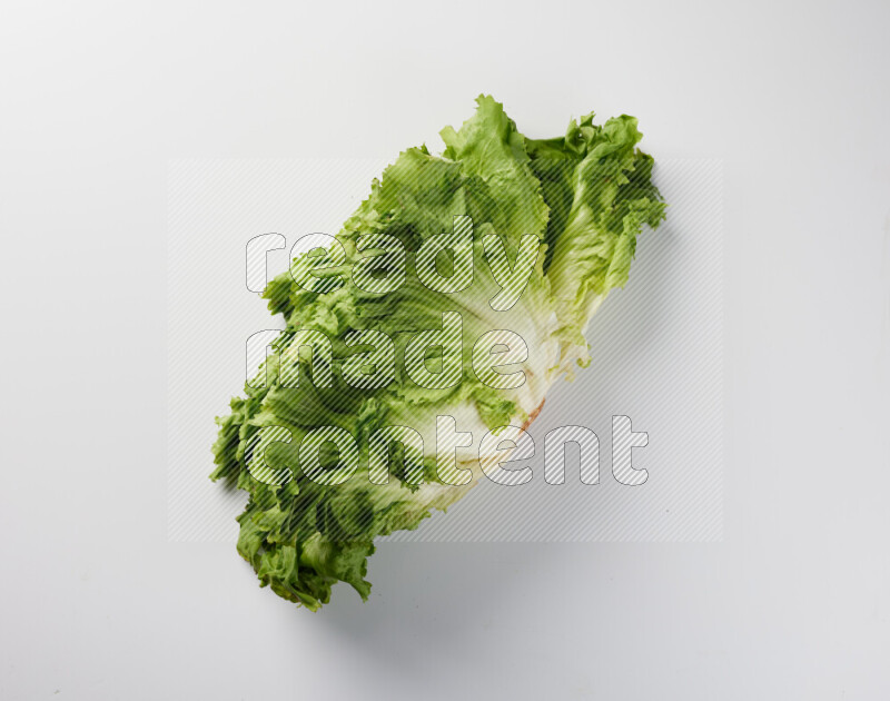 A fresh head of lettuce with green leaves on white background
