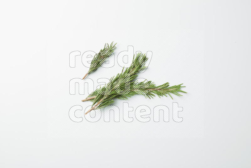 Three fresh rosemary sprigs on white background