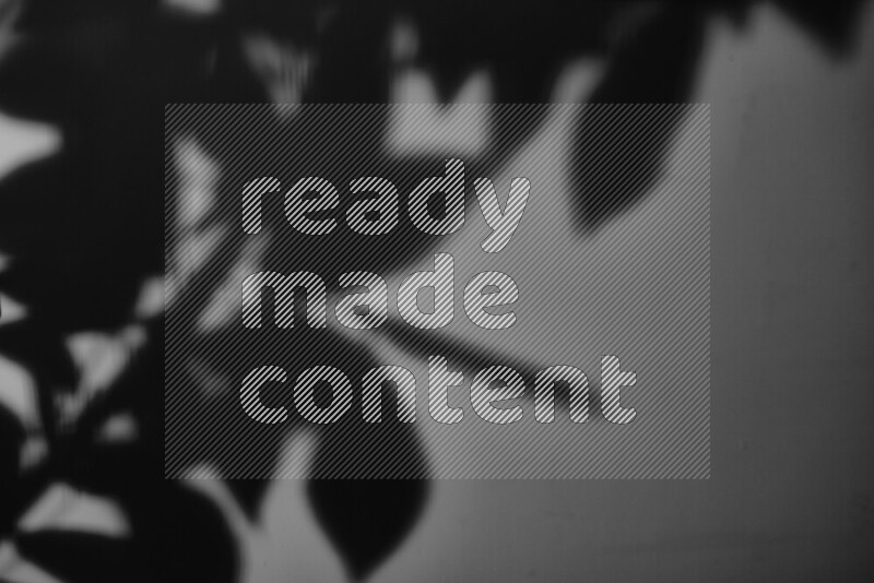 يظهر ضوء غوبو خافت ظلال أوراق نبات تسقط على سطح ناعم