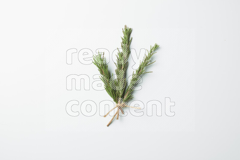 Three fresh rosemary sprigs on white background