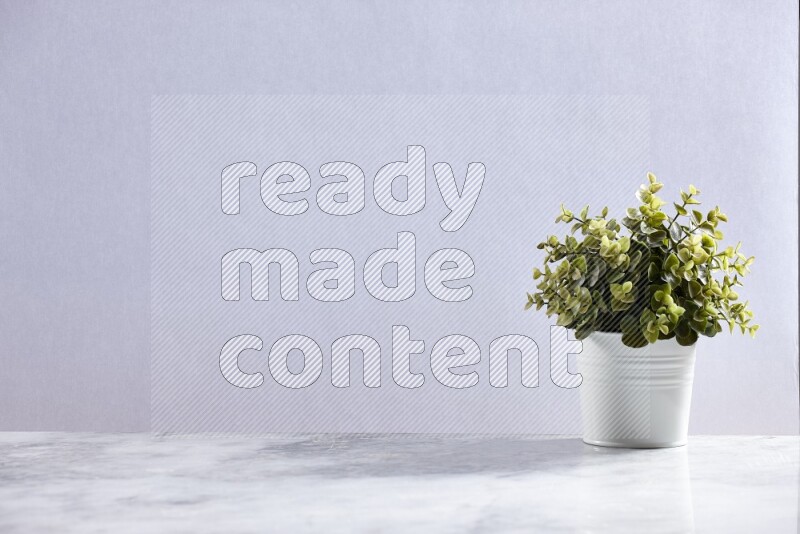 Green artificial plant in white pot on grey marble background