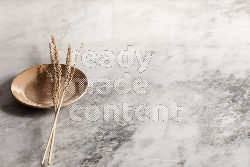 Wheat stalks on Beige Pottery Plate on grey marble flooring, 45 degree angel
