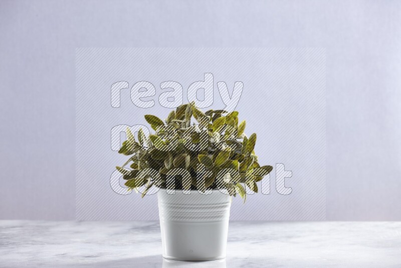 Green artificial plant in white pot on grey marble background