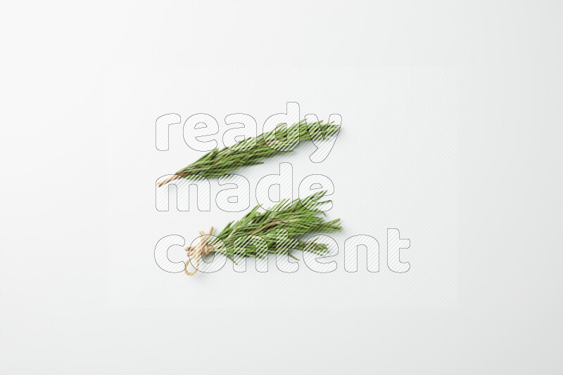 Multi fresh rosemary sprigs on white background