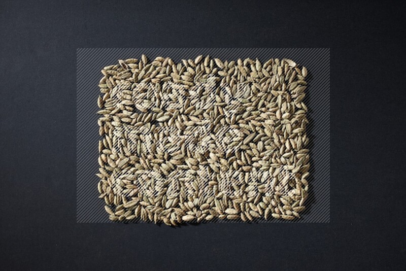 Cardamom in a rectangle shape on black flooring