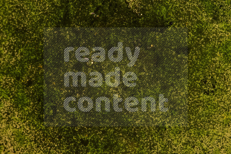 Close-ups of abstract green watercolor drops on oil Surface on yellow background