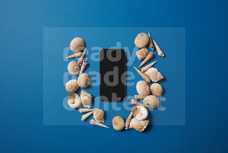 top view shot of phone with seashells on blue background
